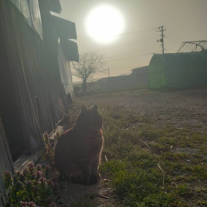 B1559344 f207 4269 aa89 22942dba9e9f 1681340461895