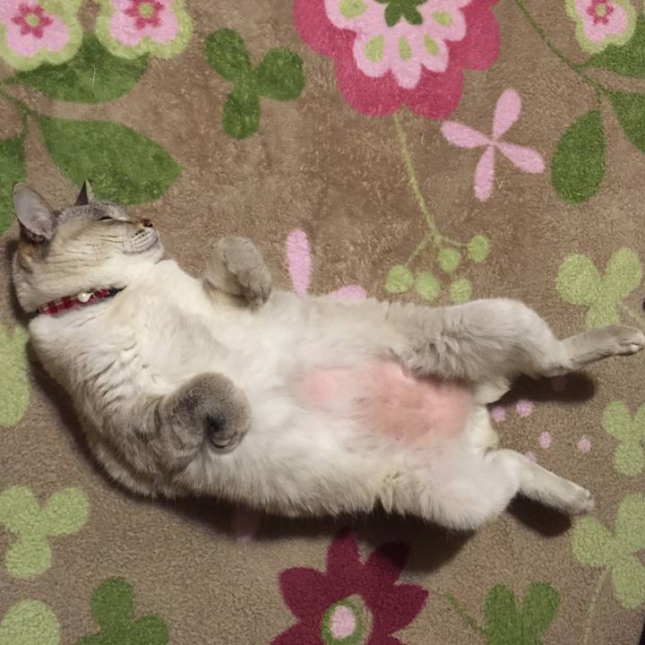 B1559d82 eeb9 4799 8cab eb5076f9bd9e 1517144861472