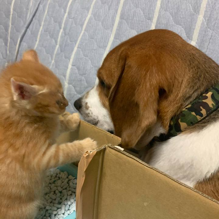 B155a098 5c12 4e0c b974 372fb37dd16d 1570890636926