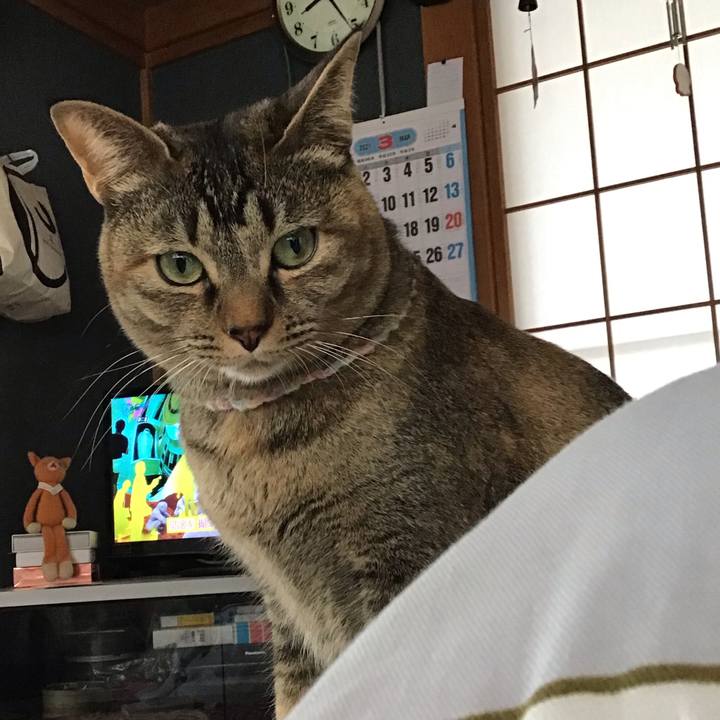 B155d4f0 d7e6 40a5 a94f 12d20a6a80e9 1616634277760