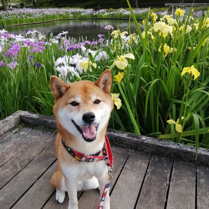 B155da1f 8b1a 42cf 8085 c66a429d8888 1654768773468