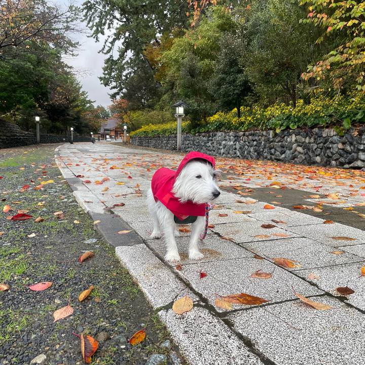 B156172f 1e74 461c 9f91 f42fbed837b5 1732315499077