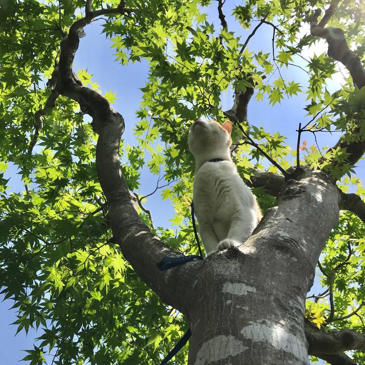 B1561c43 55ca 48fe 9934 ed238e17e53a 1527395631331