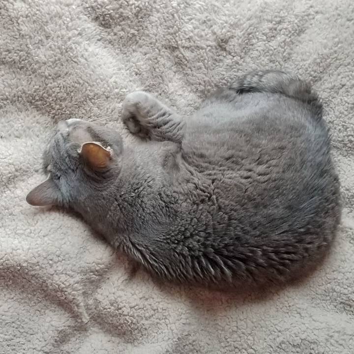 B1562fa3 cf8b 431e a178 95bd6819ea5c 1681181718263