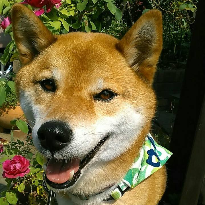 B15638a4 2b9f 4ec4 b7c5 778d6945346c 1559779437103