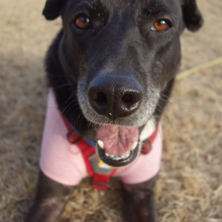 B156975e 8629 4bea bad7 f36de93d7739 1675299982669