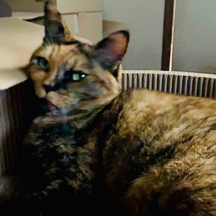 B156c368 7fa7 4932 9251 2dc7a55f53b1 1755338005596