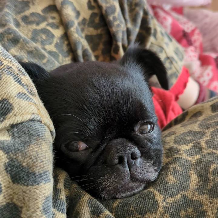 B156d916 2ffd 4cb5 9a51 615c1565b620 1773034513964