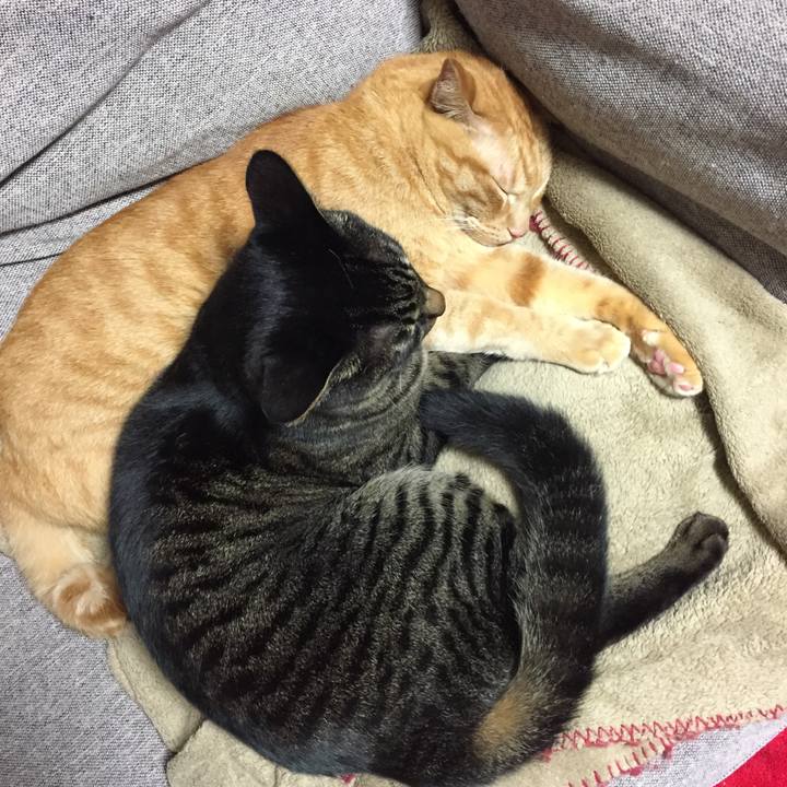 B156e177 681a 4deb a0d7 3719959db7e6 1507737415159