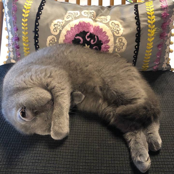 B1573431 76ae 44ec b9b0 7359147e709d 1602297669797