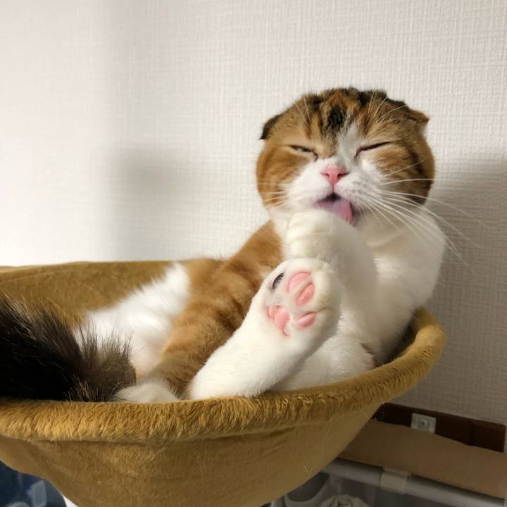 B1574aef 993f 4fab 9a9b c61aac20c183 1538986646703