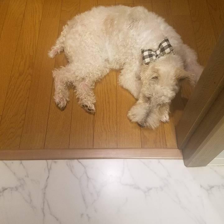 B157a762 87b6 4691 bf82 cef5b997e7df 1599835127912