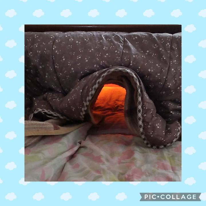 B157bca9 1f30 44a9 9434 a4b5cecd5fd8 1738304687805