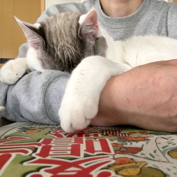 B1589528 40f5 44aa a361 1fd88fc2536e 1555292952729