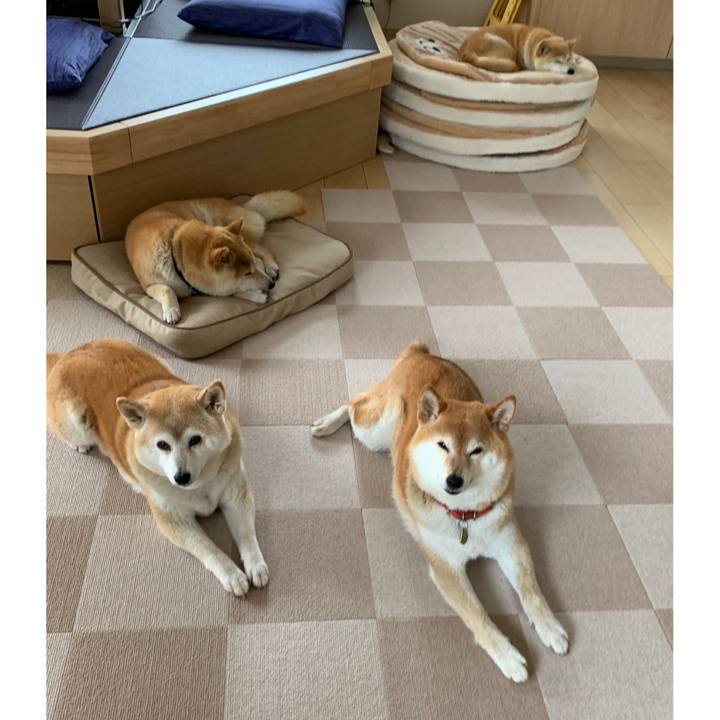 B158a285 07ec 4d62 80b1 ea4aab0a35a7 1591975806064