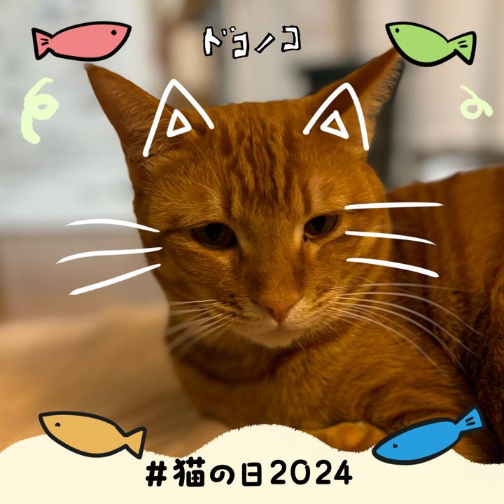 B158adba 7b92 44db bf32 7d502e0fdb9d 1708598440164