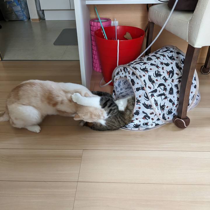 B158ea11 7a53 437b b2bc d29a63700b7d 1692138561586