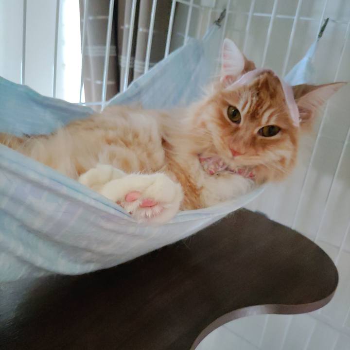 B158ffde de5b 4330 ba6e d7179435f5f4 1683355413130