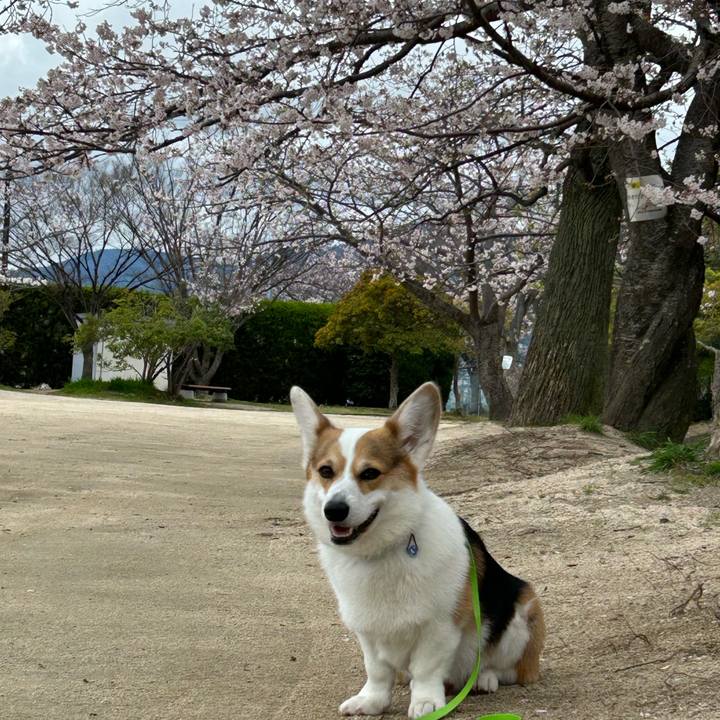 B1596ca5 3865 4910 9105 77252da7d886 1775019567530