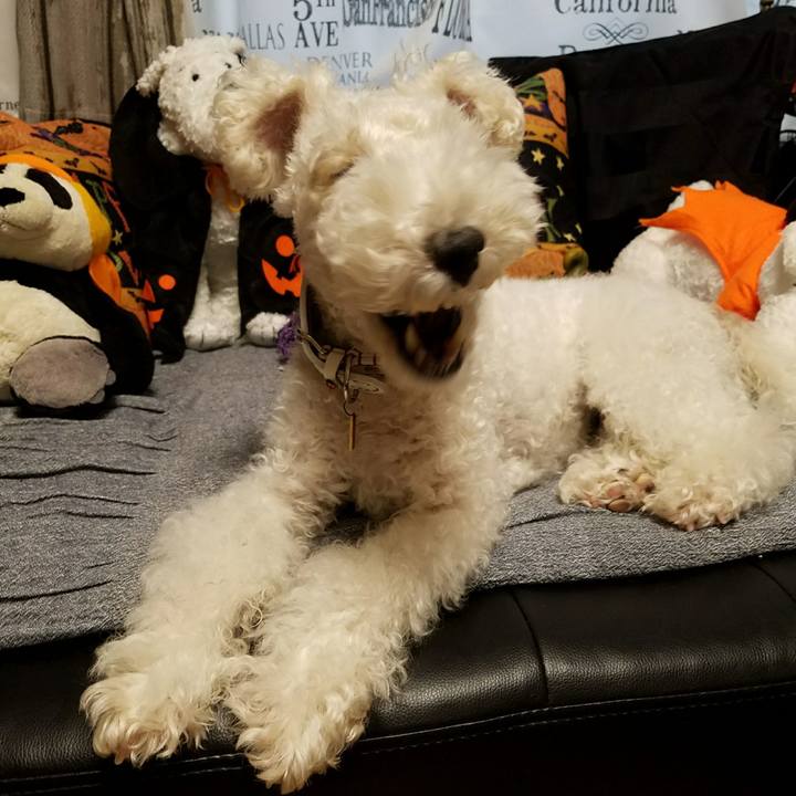 B159713e ad2c 4eff a6cd b8192246dd81 1509412343236