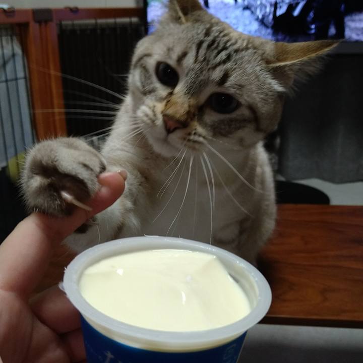 B1597359 90b8 4238 bf3f a94412648ca8 1629458347111