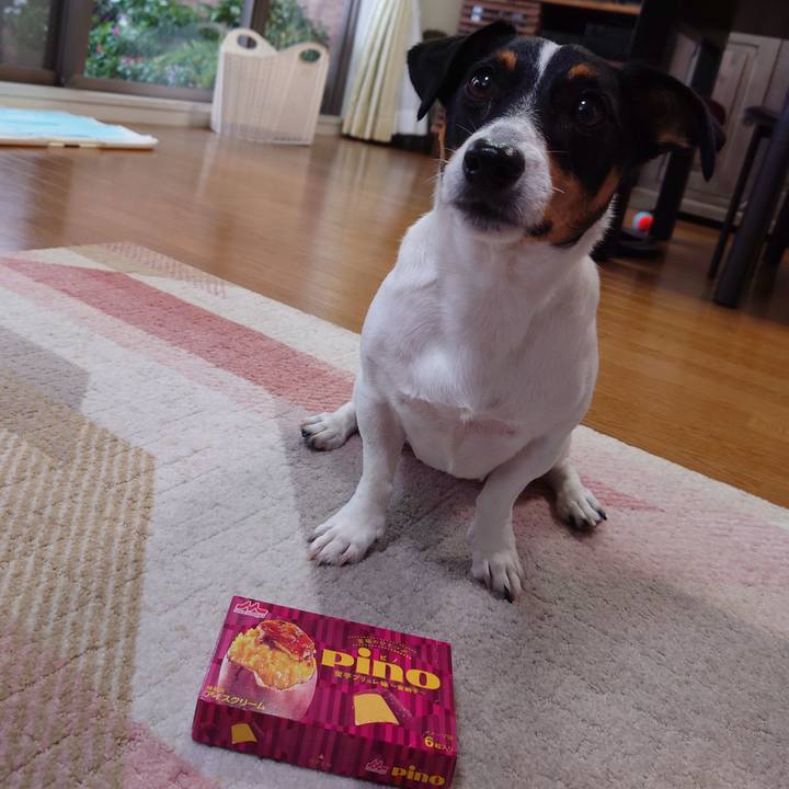 B15981dc 04b8 4792 a147 896f36a5a414 1694245040715