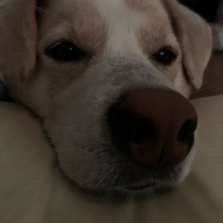 B159839f 32dd 4359 b5f1 c8c57d47f51d 1563155180742