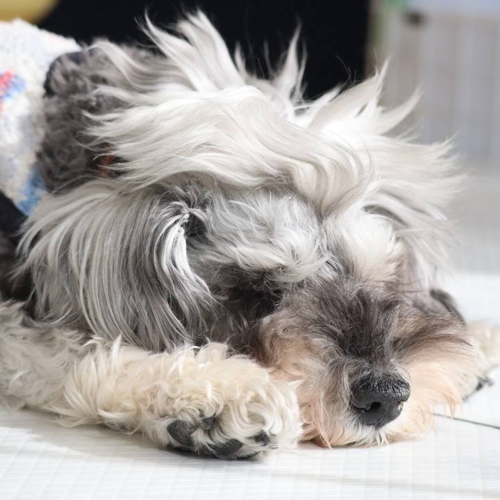 B159d65b 01b4 4ca4 a080 5dc349040fd3 1773211127907