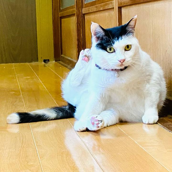 B159f5ac 9a23 4f97 99ce c7cab7475add 1688423929437