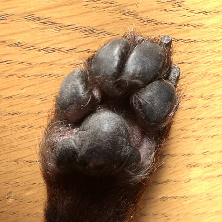 B15a1f85 8c94 4c5b a696 b793c2bbdefb 1541895202114