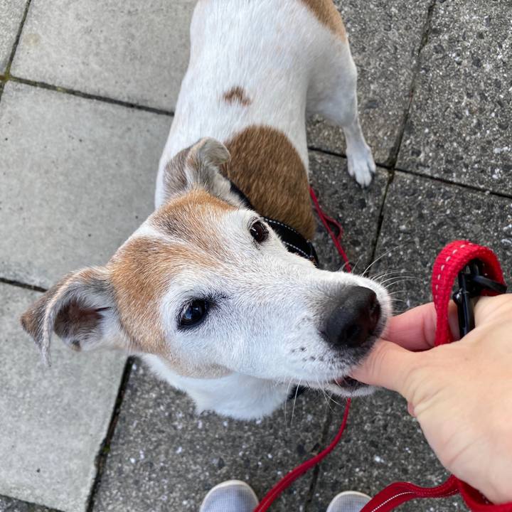 B15a230b 096c 49fd b6ea d5c152ed178a 1601346636549