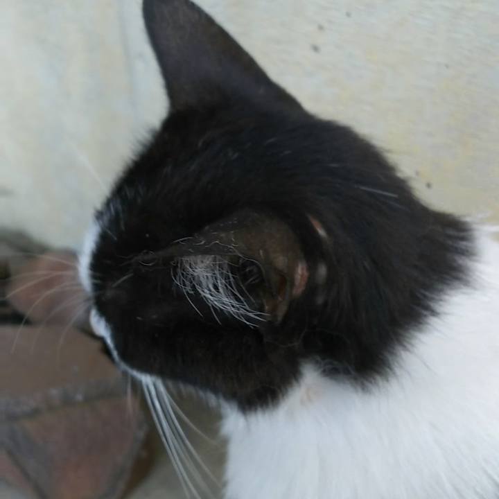 B15a2d27 06bc 4d4b 9bbf f2f6cd36f5e7 1529748569002