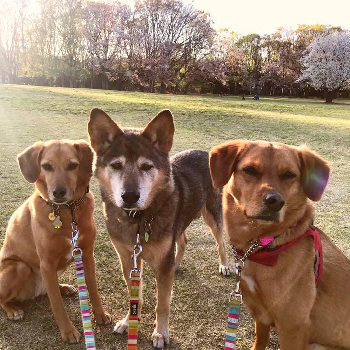 B15a3413 b668 4072 90ab b29cf5d76a4e 1554801399601