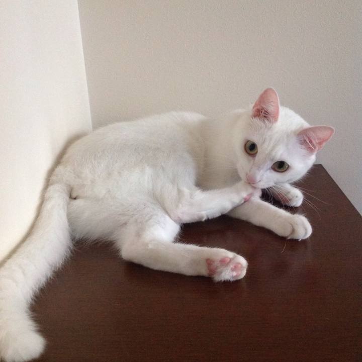 B15a43ee 1e73 4928 92be 672d6f75f5ee 1627770977094