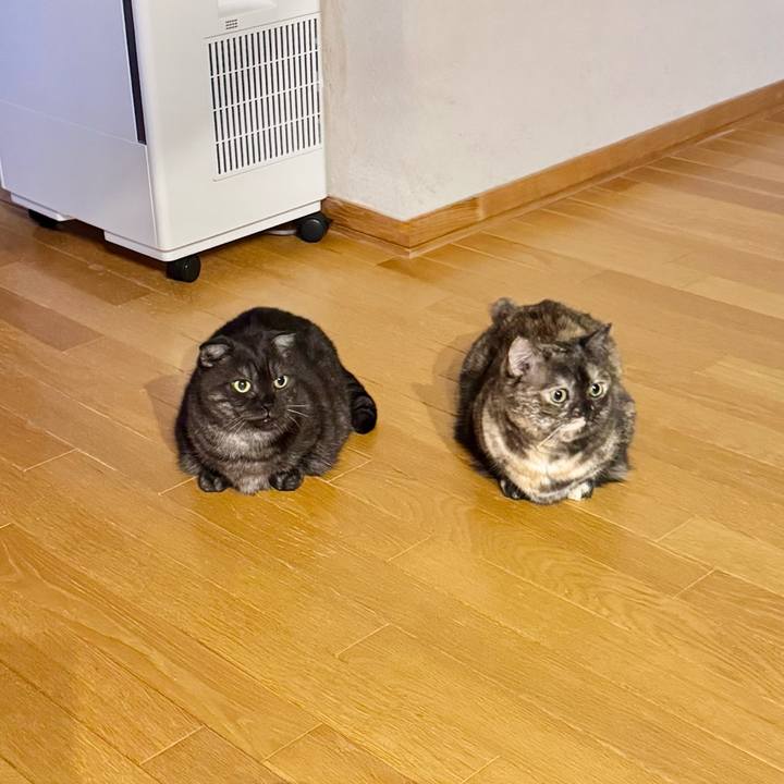 B15a52de 0925 4970 bbe8 48c6ae9f026d 1770898331660