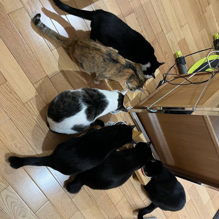 B15a8f9f 432b 4994 ace9 cb1b0da1b97b 1648418881270