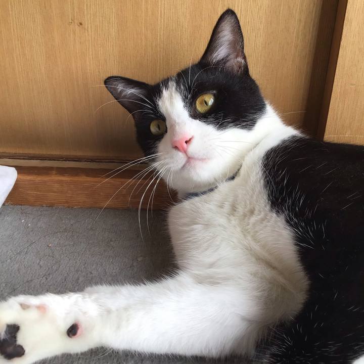 B15a98bd e59a 46dd 9fb3 20d5cf962649 1658915869112