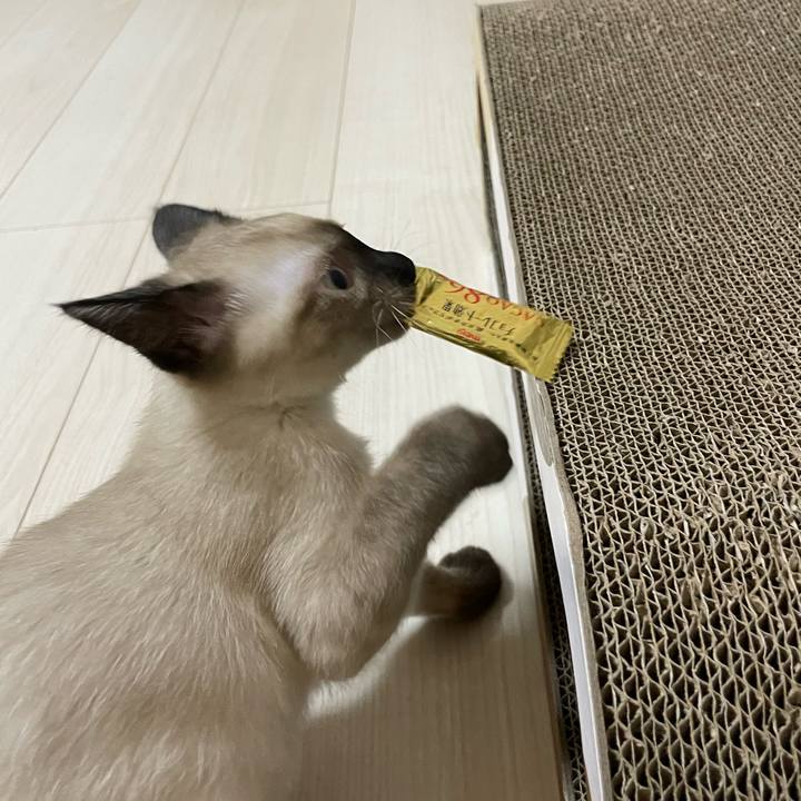 B15a9d5a 5802 431b ac58 0af749ea1cfb 1689938939304