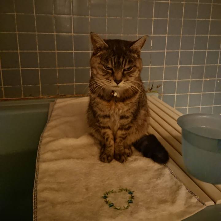 B15aa9c4 5c1c 4961 be29 442c7649c3b8 1574328747700