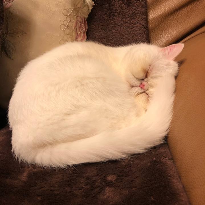 B15aaa95 b130 4b3b a6a1 2ba728339730 1573654626470