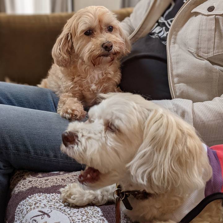 B15ac165 5647 4251 ba26 cf5777f48fdc 1762676817198