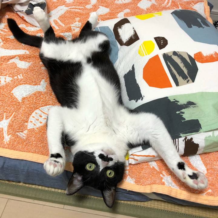 B15adbf6 4abc 490c 8fc9 48d8fa519a8e 1521044897435