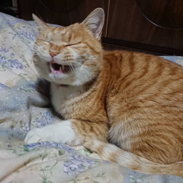 B15aeb45 aaa3 431e 9ada 2a3b5631b3a5 1579433770602