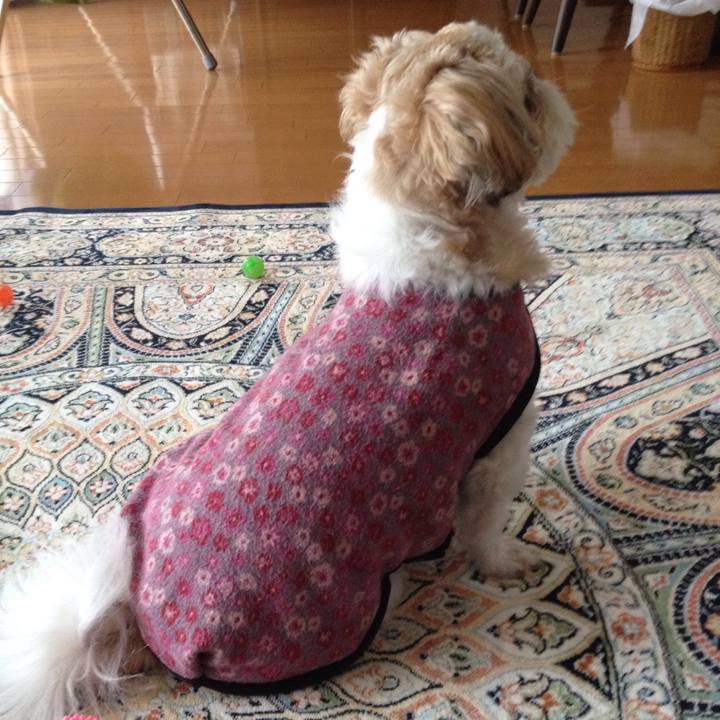 B15b0c2c ddc8 44c7 916e 7d6423f94cfc 1509053632546