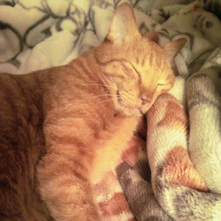 B15b1ea6 69f3 4d4d 8a11 02c990d64a28 1677280572893