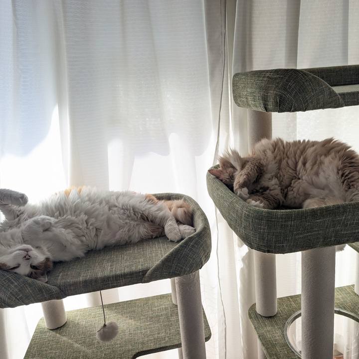 B15b3a4d a944 419a bc73 8340172e2a23 1759846934535