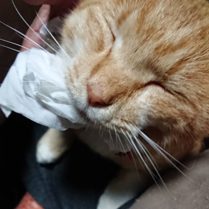 B15b4a7b 25c5 4e15 a230 3f8db75779cf 1575409140198