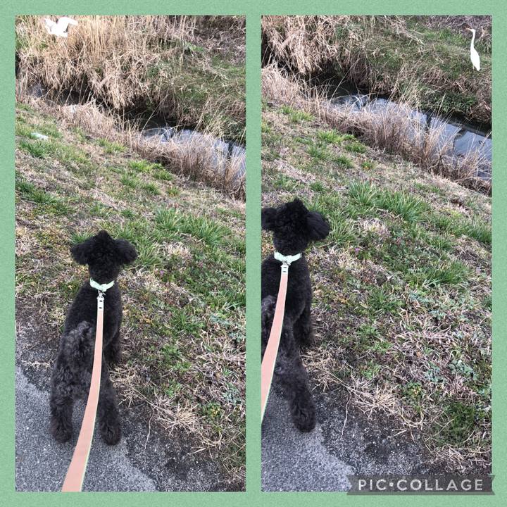 B15b814e 5a8c 4641 9ab0 a663230f9ee5 1615205987532