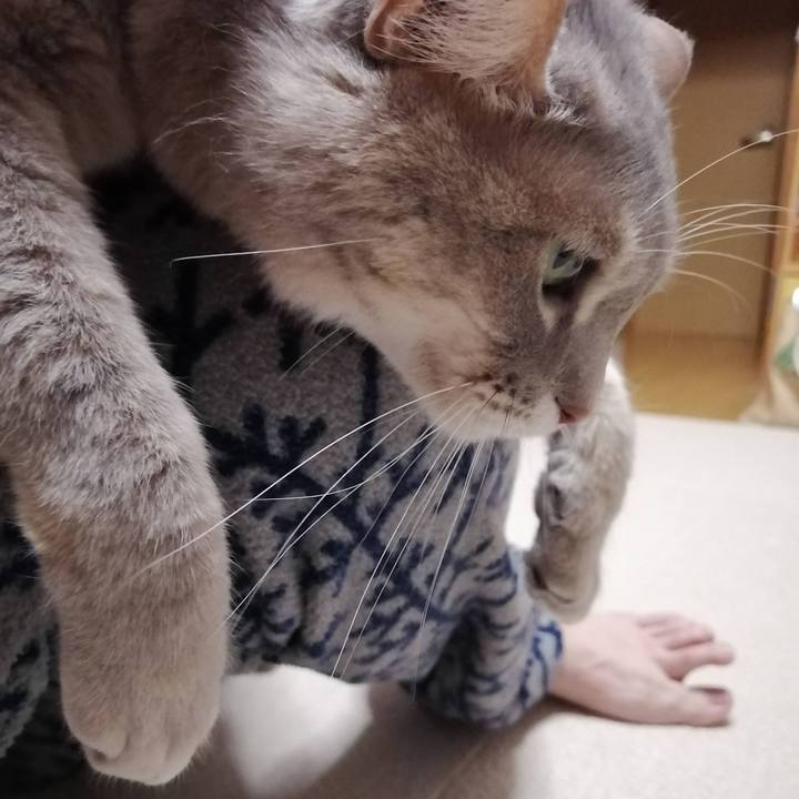 B15b85eb 85ff 430c 9ff2 4d20f25bce64 1612534925758