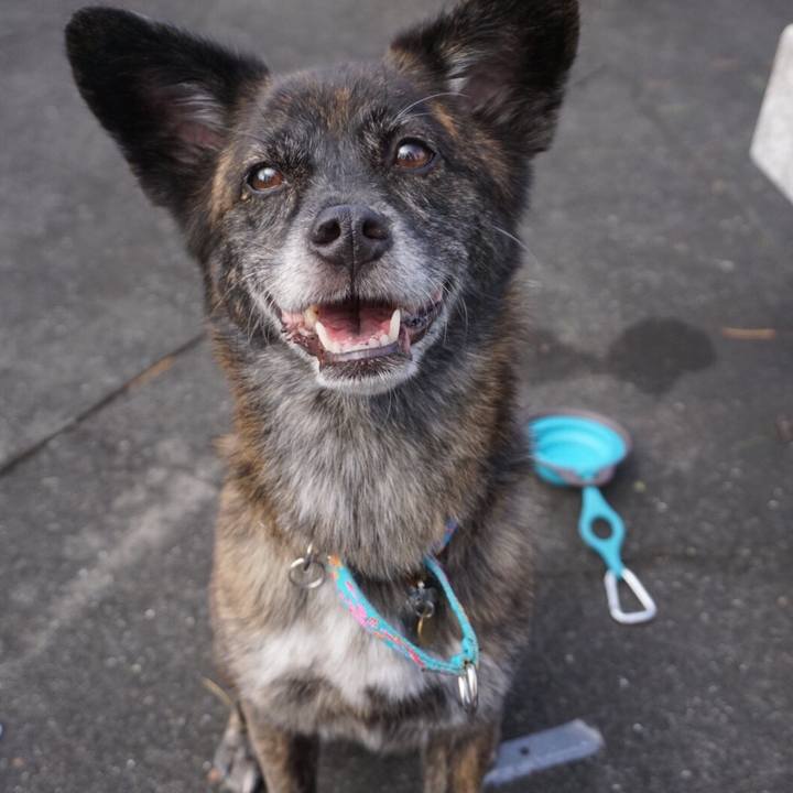 B15b86ec ae33 4d27 b35e 8d64ed605760 1569856793545